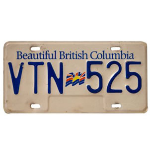 Vintage American Licence Plates