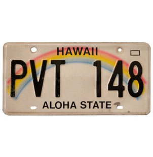 Vintage American Licence Plates