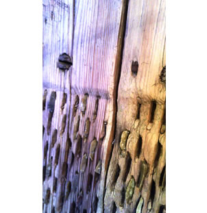 C.18 Century Mediterranean Wheat Thresher